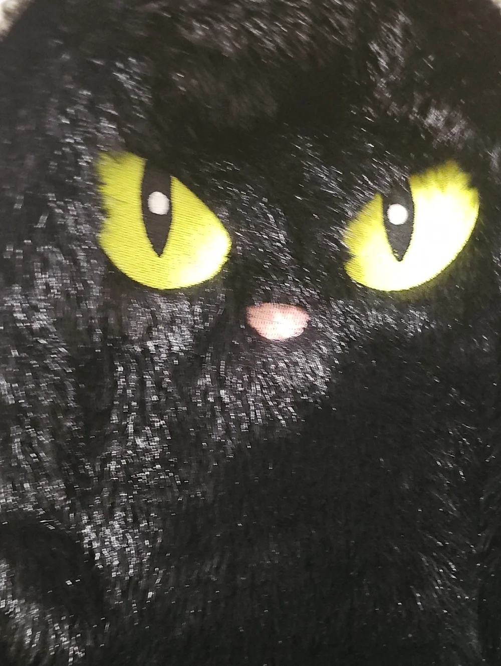 ZARA Kids Black Faux Halloween Cat